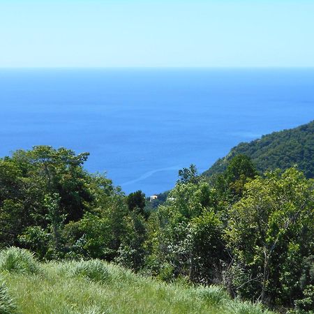Diamond View Cottages Roseau Exteriör bild