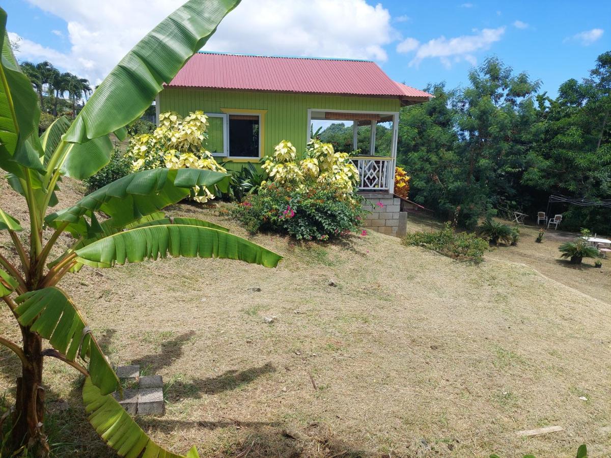Diamond View Cottages Roseau Exteriör bild