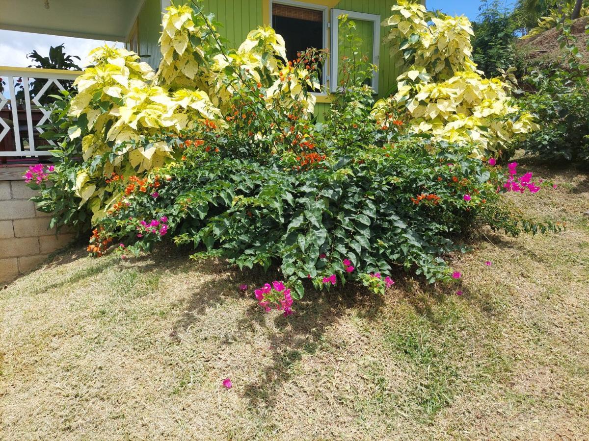 Diamond View Cottages Roseau Exteriör bild