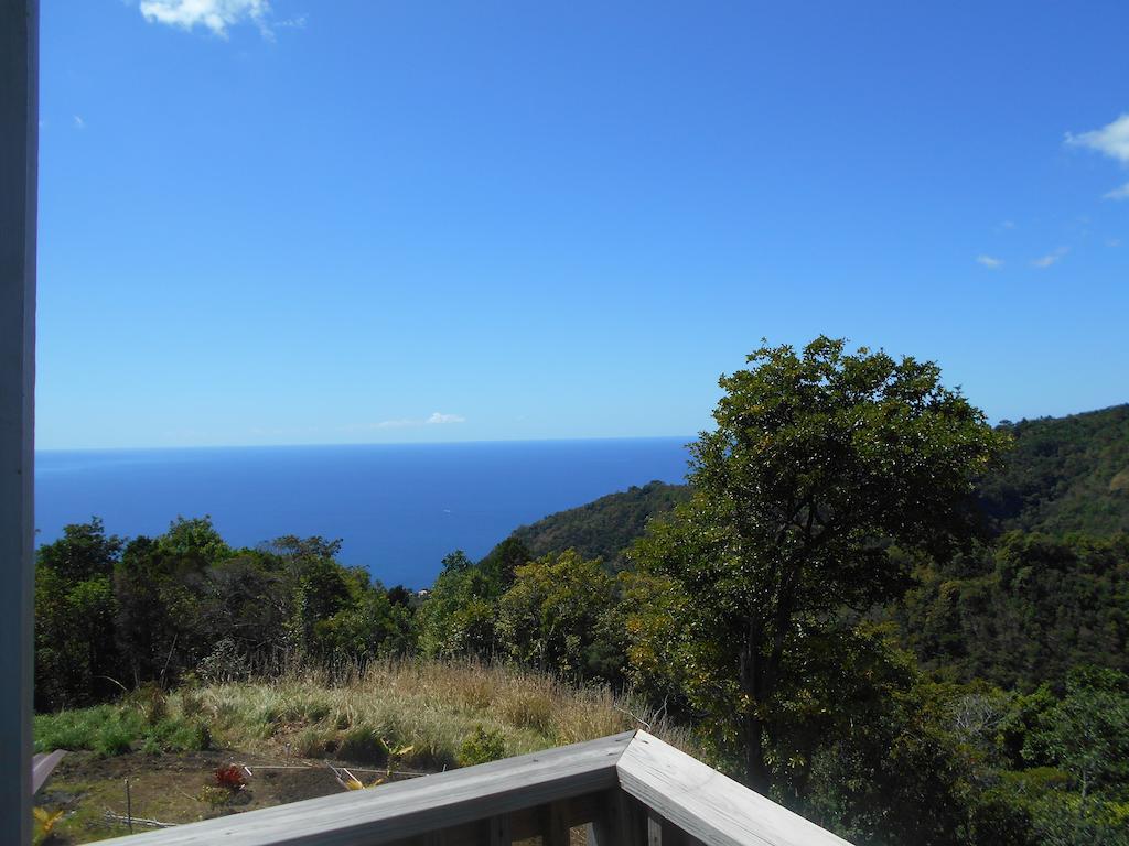 Diamond View Cottages Roseau Rum bild
