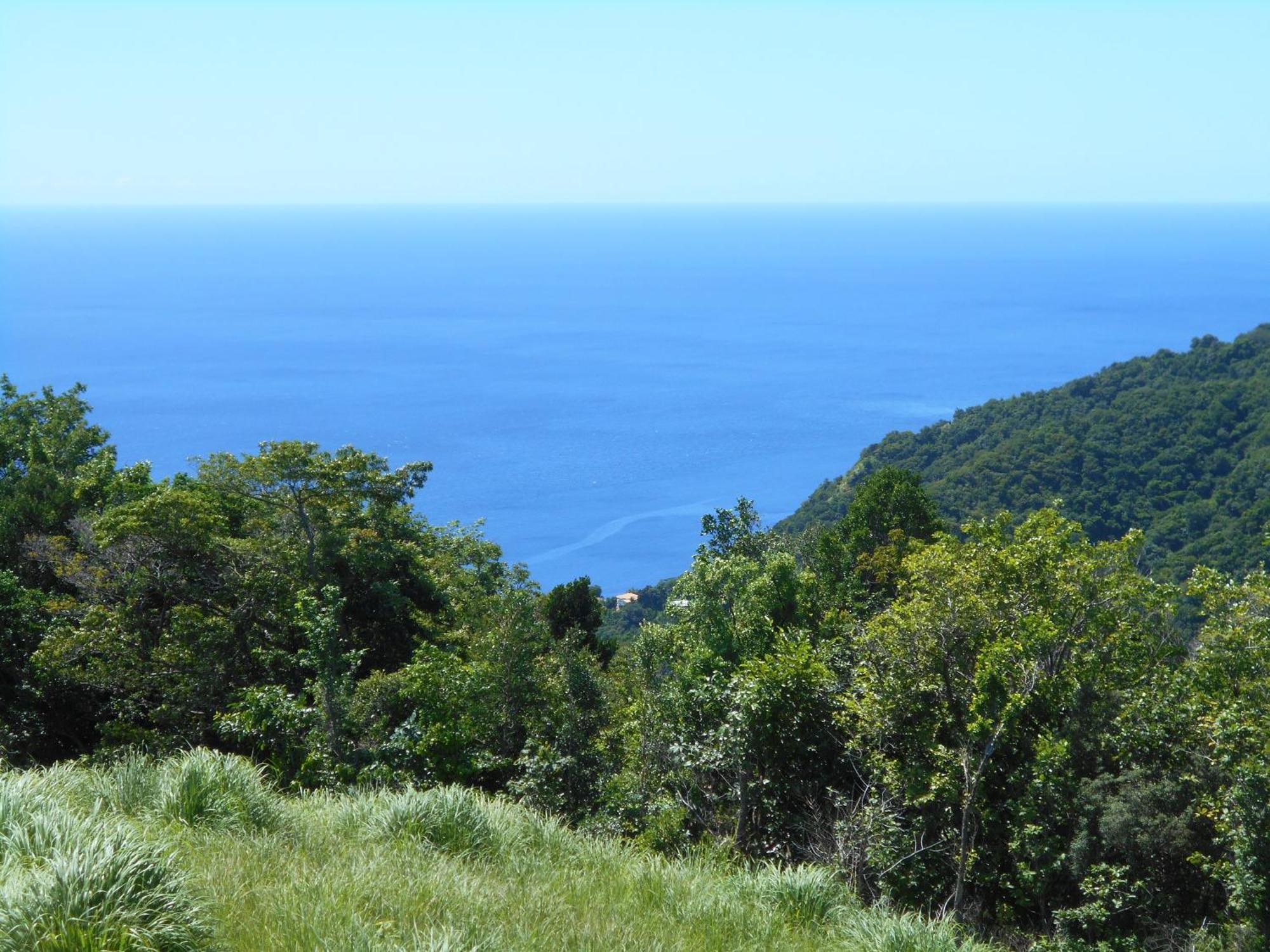 Diamond View Cottages Roseau Exteriör bild